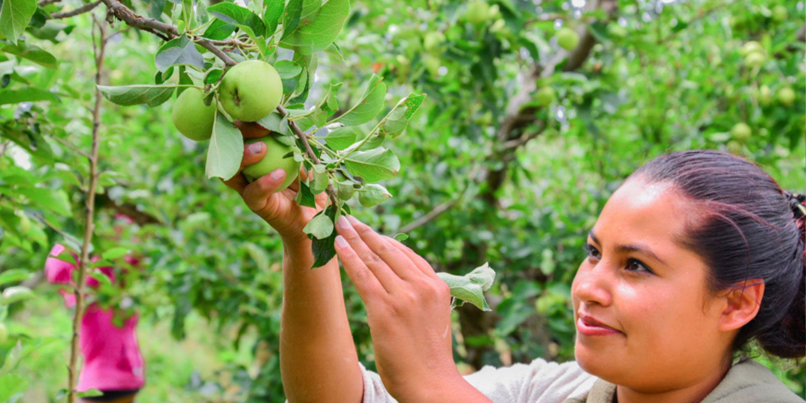 Producción sustentable